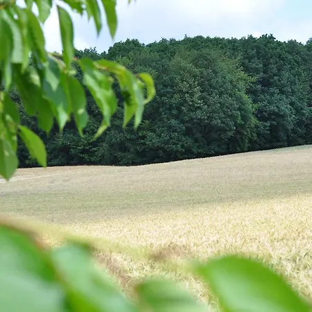Apartamento Auf Dem Kleeberg Vlotho